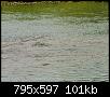 Klicke auf die Grafik fr eine grere Ansicht

Name:	Laichende Fische Drakenburg.jpg
Hits:	711
Gre:	100,7 KB
ID:	7633