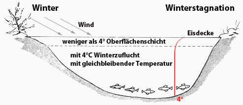 Klicke auf die Grafik fr eine grere Ansicht

Name:	winter.jpg
Hits:	25415
Gre:	30,1 KB
ID:	781