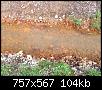 Klicke auf die Grafik für eine größere Ansicht

Name:	BiberdammAA010412 h.jpg
Hits:	2739
Größe:	103,8 KB
ID:	4240