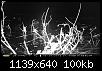Klicke auf die Grafik fr eine grere Ansicht

Name:	PICT0031.jpg
Hits:	750
Gre:	99,8 KB
ID:	4661