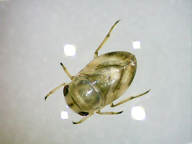 Klicke auf die Grafik für eine größere Ansicht
Name: Still0067.jpg
Hits: 7582
Größe: 44,7 KB
ID: 2566